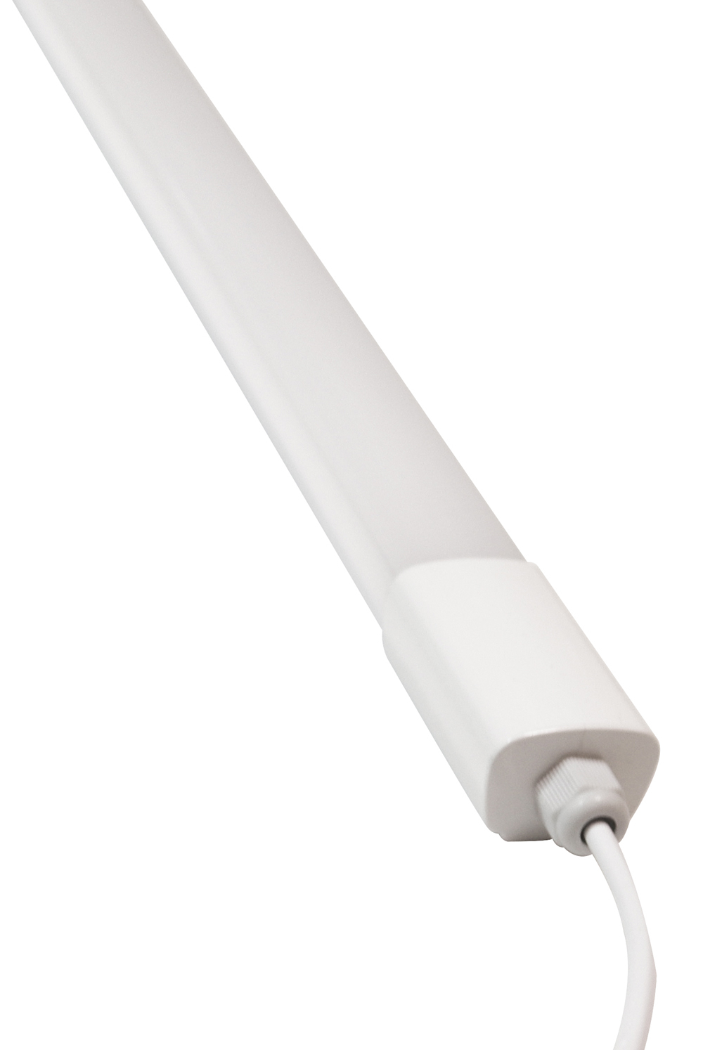 IP65 Batten Light